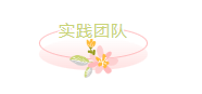 实践团队